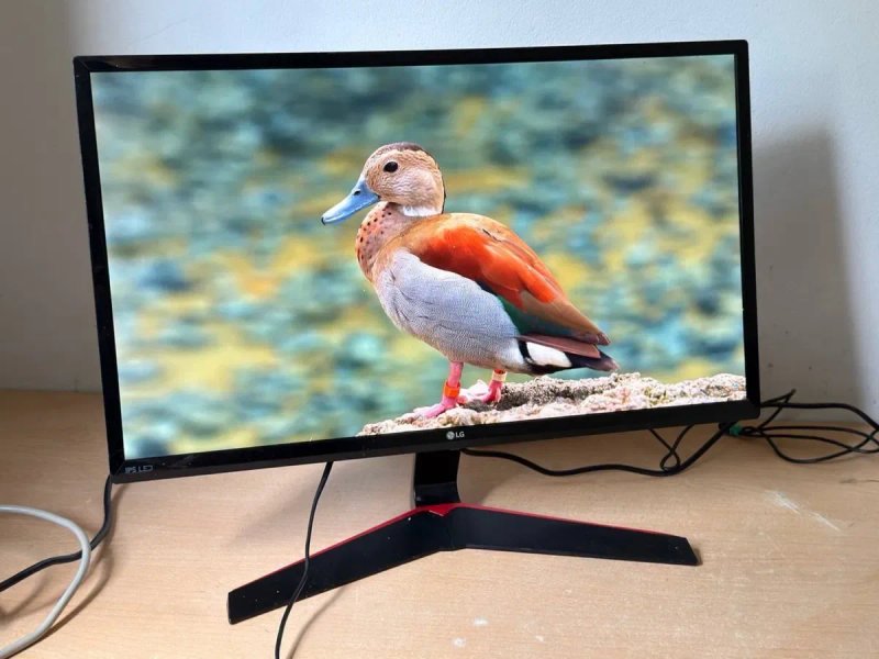 Ігровий монітор LG / 23,8″ / IPS / Full HD / 75 Гц — фото 2