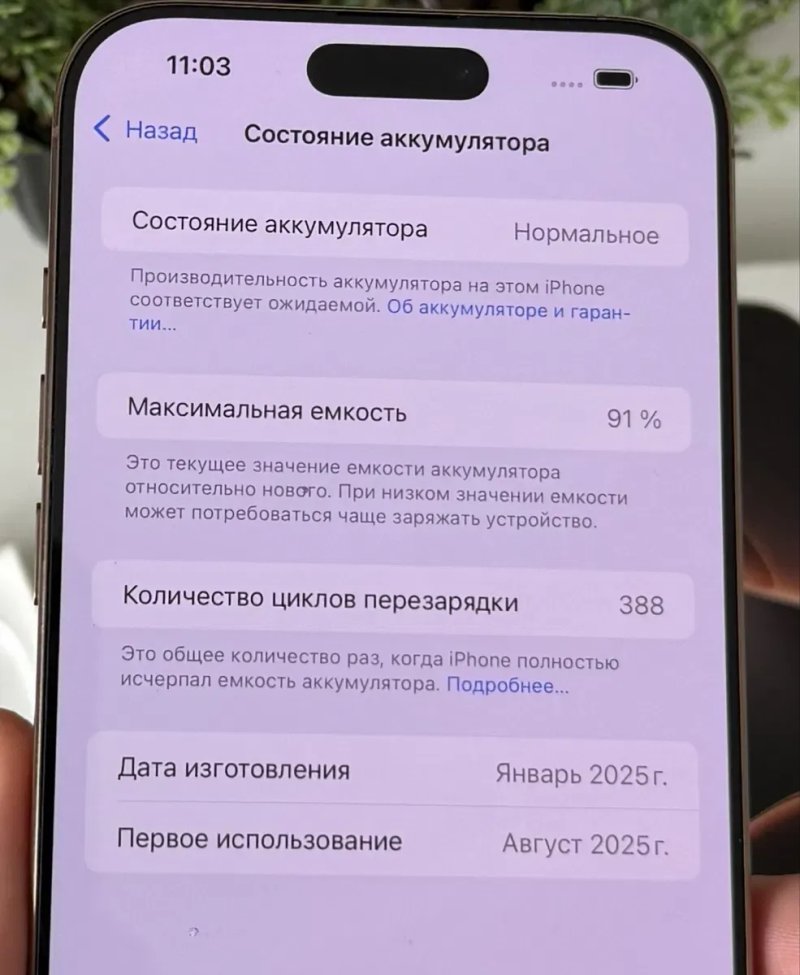 Iphone Идеал 16 pro max 256gb desert Neverlock — фото 6
