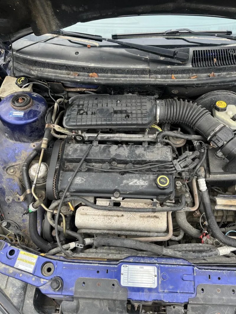 Капот Ford Cougar/Форд 2.0 EDBA/EDBD/EDDB/EDDC розборка/разборка/шрот — фото 8