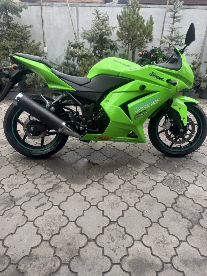 Кавасаки ниньзя 250 kawasaki ninja 250 — фото 2