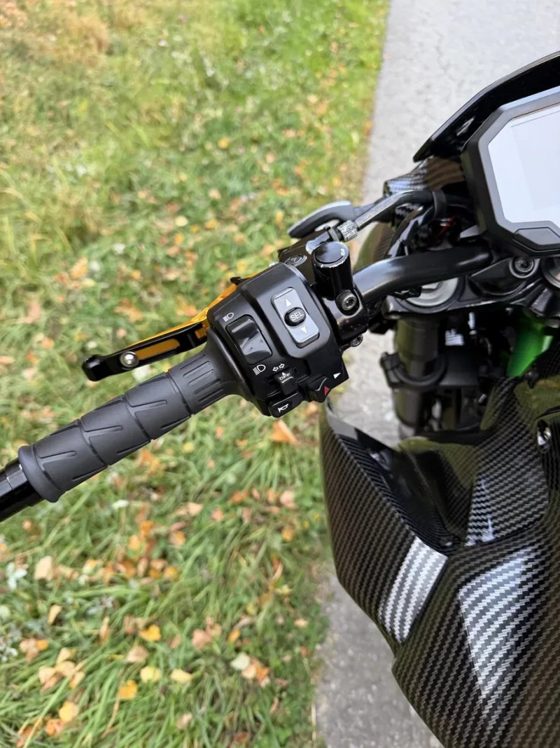 Kawasaki z 900 Carbon — фото 6