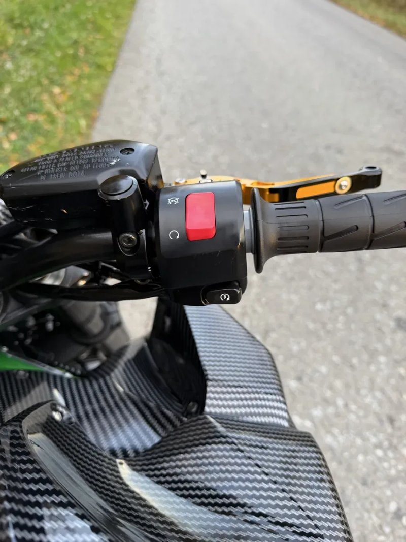 Kawasaki z 900 Carbon — фото 7