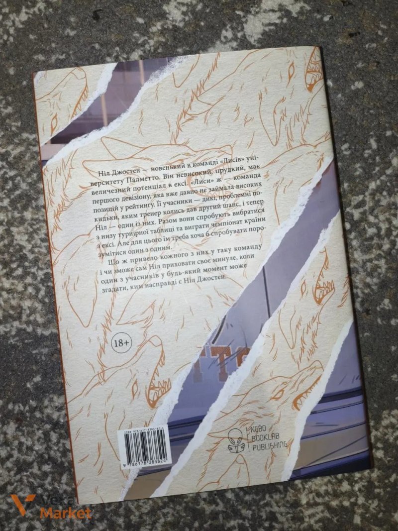 Книга "Лисяча нора" Нори Сакавич — фото 3