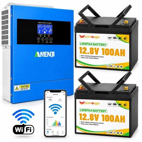 Комплект резервного живлення 4,2 кВт Anenji Wi-Fi + 2 акумулятори FLYFOREE LiFePO4 12V 100Ah з Bluetooth, 2,56 кВт·год, ДБЖ для квартири