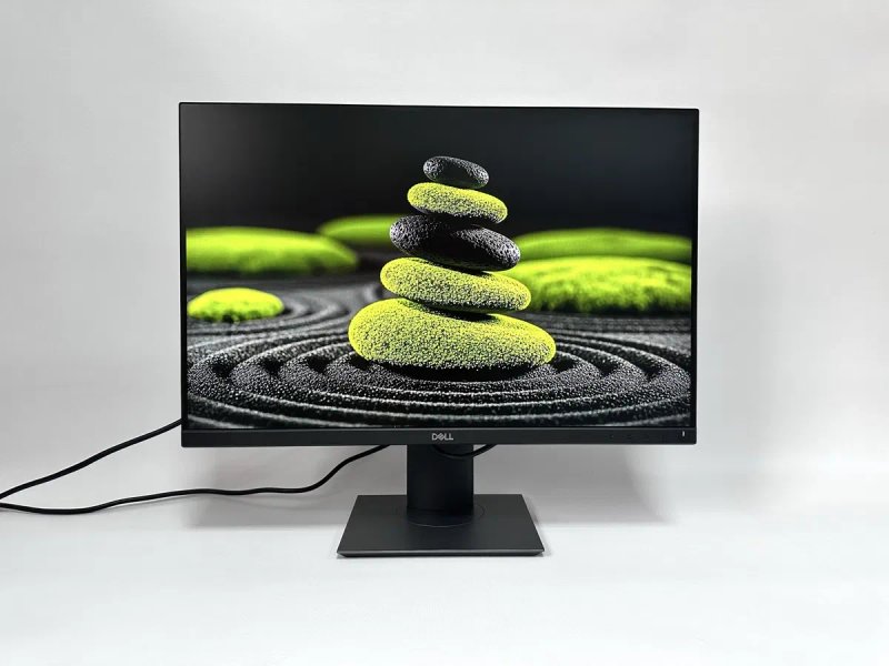 Монітор 24.1" Dell P2421 1920x1200 (16:10) IPS, 8 bit, sRGB 99%,  300 ніт — фото 4