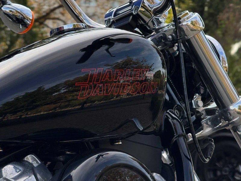 Мотоцикл круізер Harley-Davidson FXST Softail Standard 2023 — фото 8