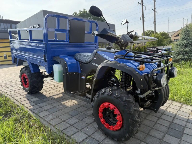 NEW FORTE ATV 300BS-T Доставка/Гарантія — фото 2