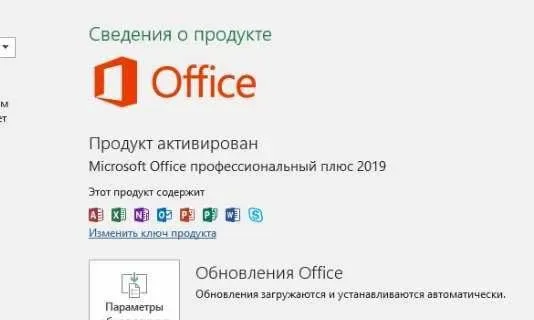 Office 2019 Pro Plus Лицензионный Ключ оплата после активации — фото 5