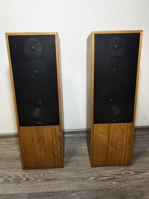 Підлогові колонки Canton Fonum 600, акустика Hi-Fi, дубовий шпон