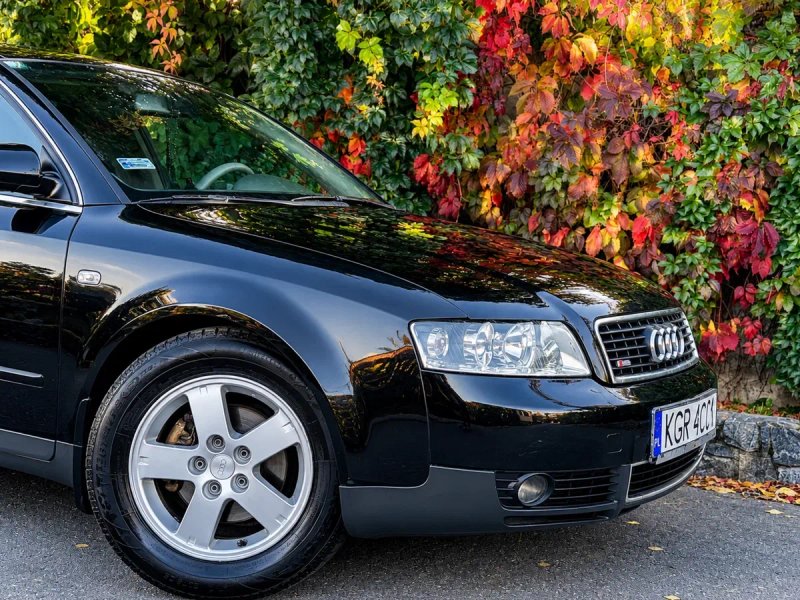 Продам Ауди а4 ц6 , Дизель 1,9 Самый дадежный 2004 года, В. Обслуженом состоянии — фото 7