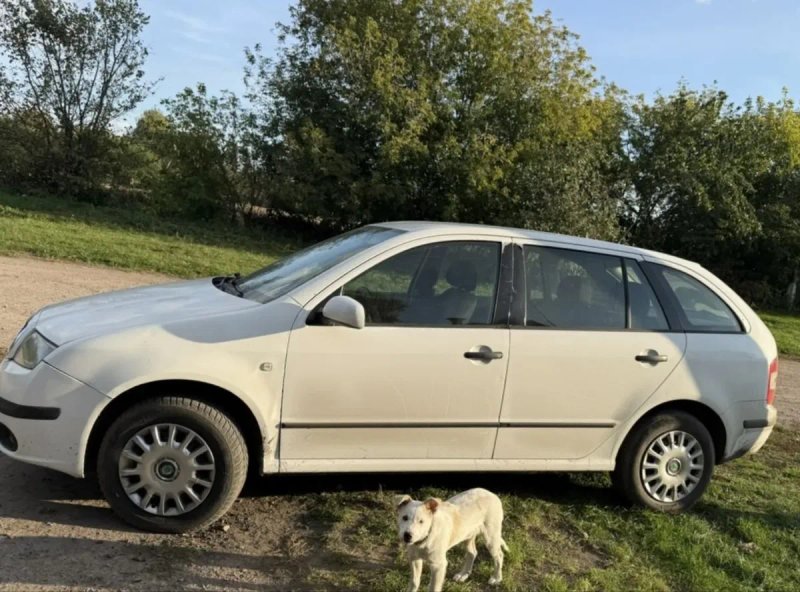 Продам Skoda  Fabia , 1,2/газ — фото 5