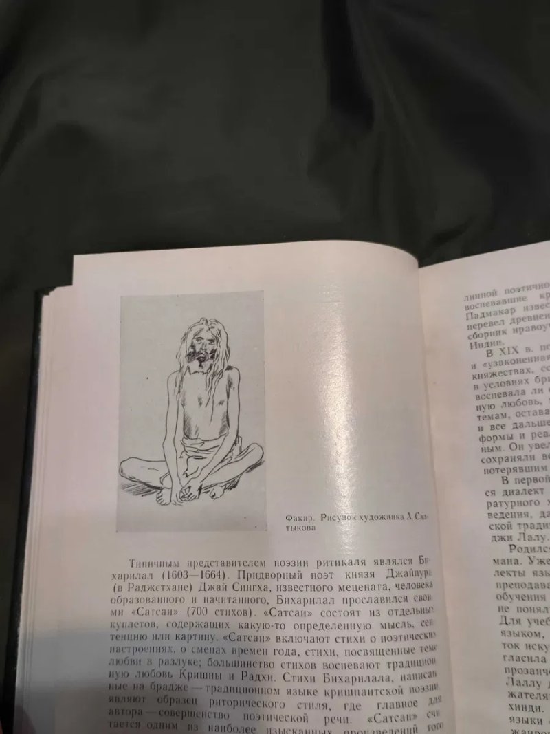Редкая книга Литература востока в новое время Позднеева 1975 — фото 6