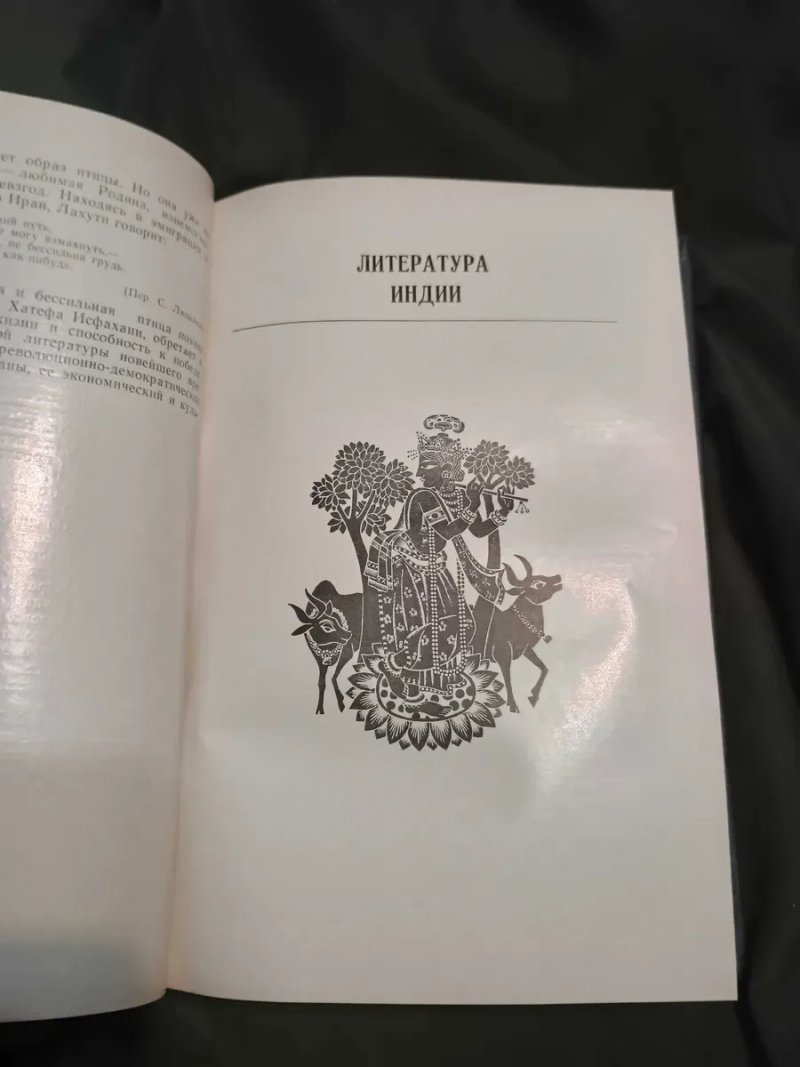 Редкая книга Литература востока в новое время Позднеева 1975 — фото 8