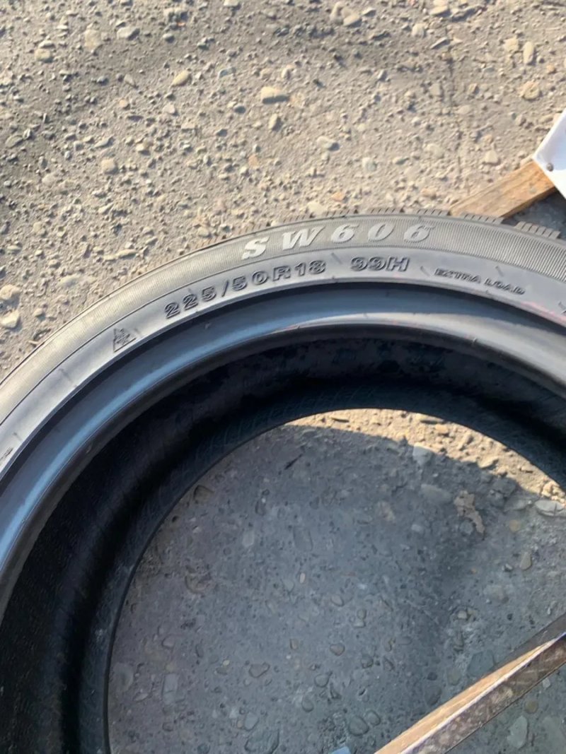 Шини 225/50 R18 Goodride зима 10мм — фото 6