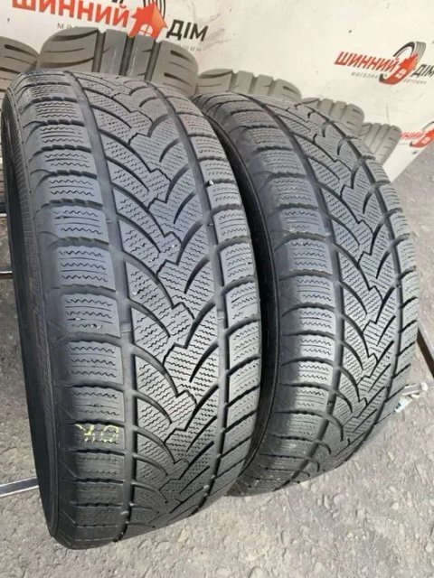 Шини 225/55 R16 Platin пара зима 6,5 мм