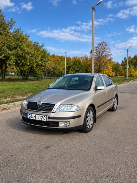 Шкода октавія 1.9тді механіка