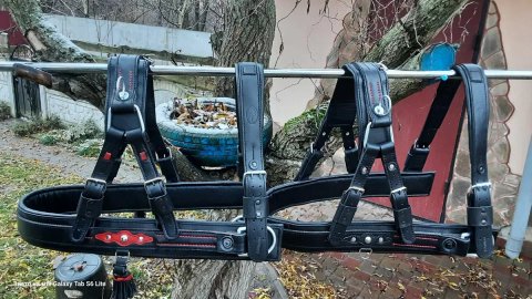 Шлея шкіряна для коня від 2500