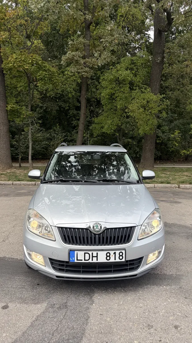 Skoda Fabia 1.6 дізель 2010 року в гарному стані — фото 2