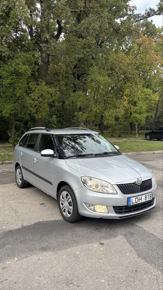 Skoda Fabia 1.6 дізель 2010 року в гарному стані — фото 3