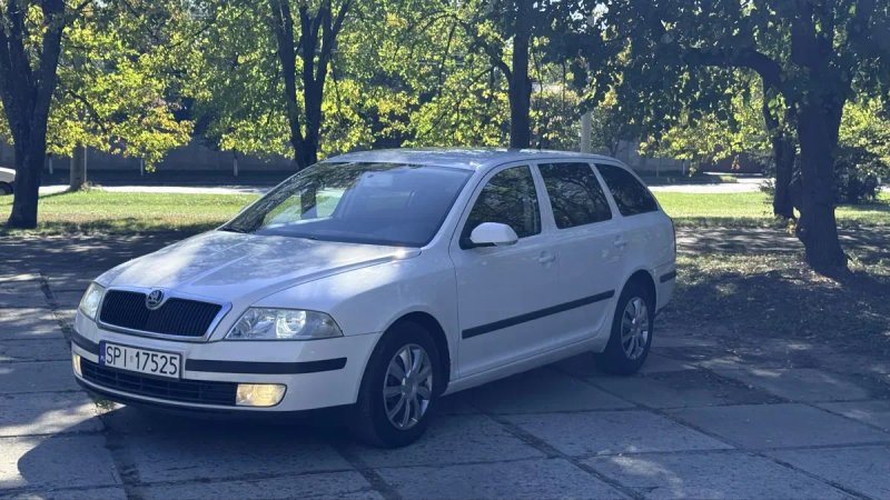 Skoda Octavia A5 • 2008 рік • 1.9 TDI • 5-ступенева механіка — фото 3