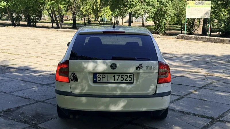 Skoda Octavia A5 • 2008 рік • 1.9 TDI • 5-ступенева механіка — фото 8