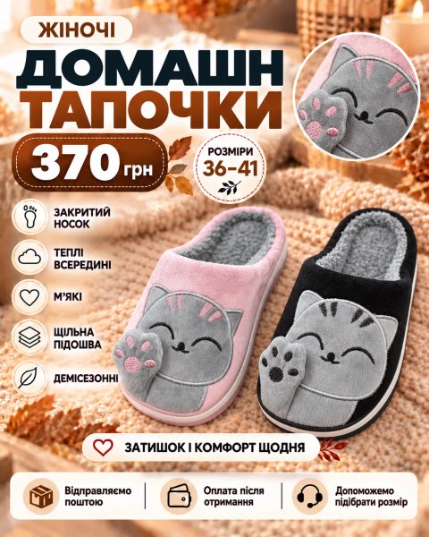 Тапочки с кошенятами