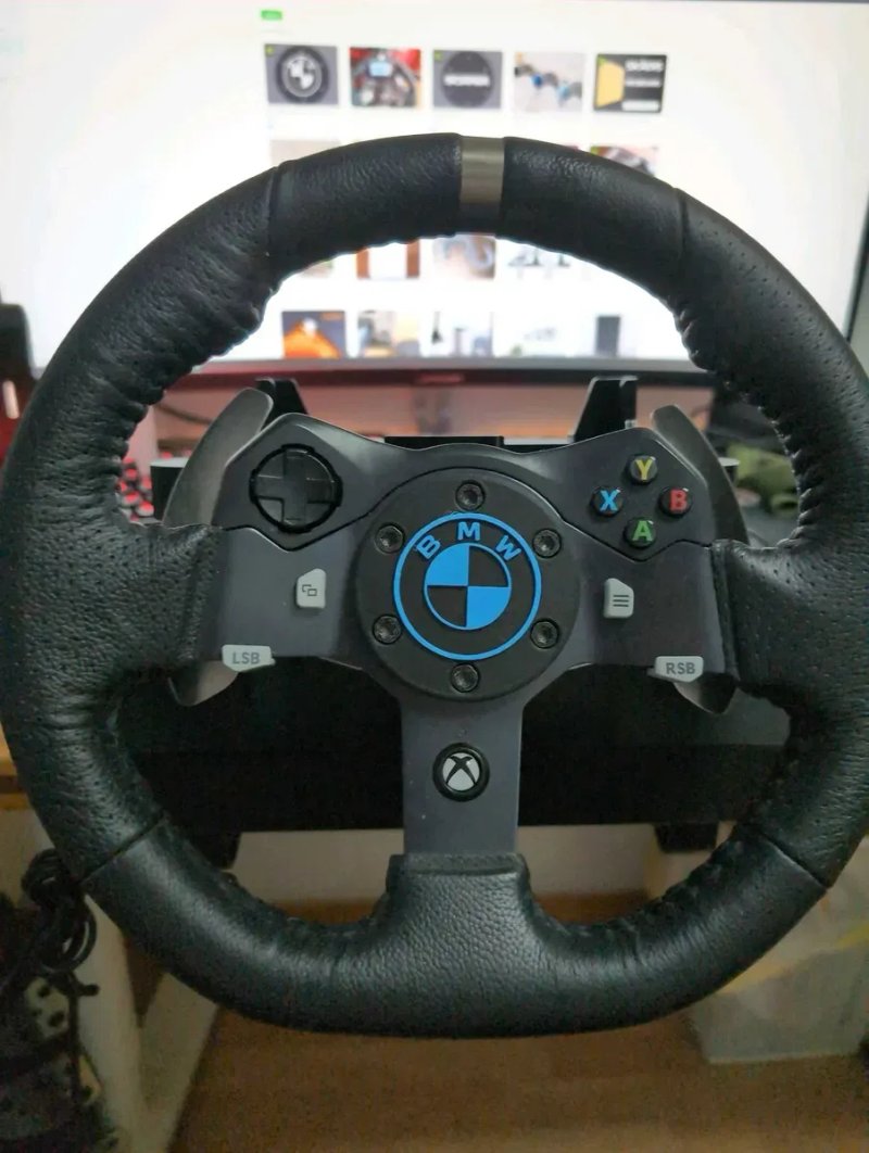 Центральная шайба для Logitech G29, Декор авто — фото 5