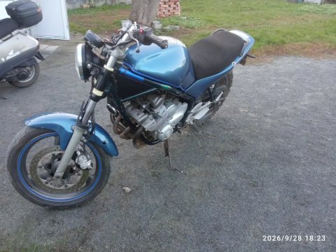 Yamaha Diversion  600